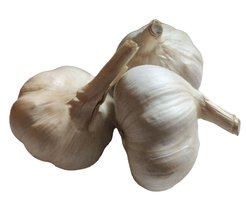 Чеснок семенной сорта Добрыня 0,5кг