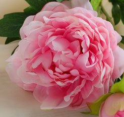 Цветок искусственный Пион дуо розовый 60см