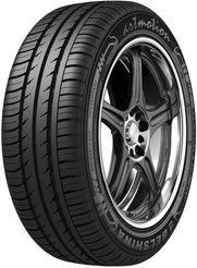 Покрышка летняя Белшина Artmotion BEL-262 91H 205/55 R16 