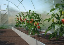 Грядка садовая Благо 1х2м оцинкованная