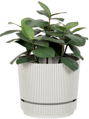 Кашпо пластиковое Стрип d20см h17,9см v3,9л, кремовый, с подставкой