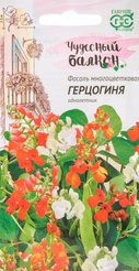 Семена Фасоль красная (Тур.бобы) Герцогиня сер.Чудес.балкон.