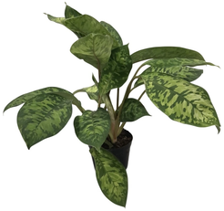 Хомаломена Камуфляж d11