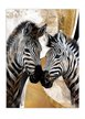 Картина Золотые зебры 40х50