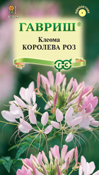 Семена Клеома Королева роз 0,2г