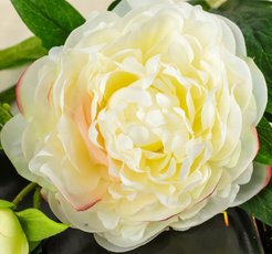 Цветок искусственный Пион дуо белый 60см