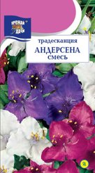 Семена Традесканция Андерсена Смесь 5шт