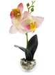 Орхидея розовая в кашпо из стекла 25х8х8см