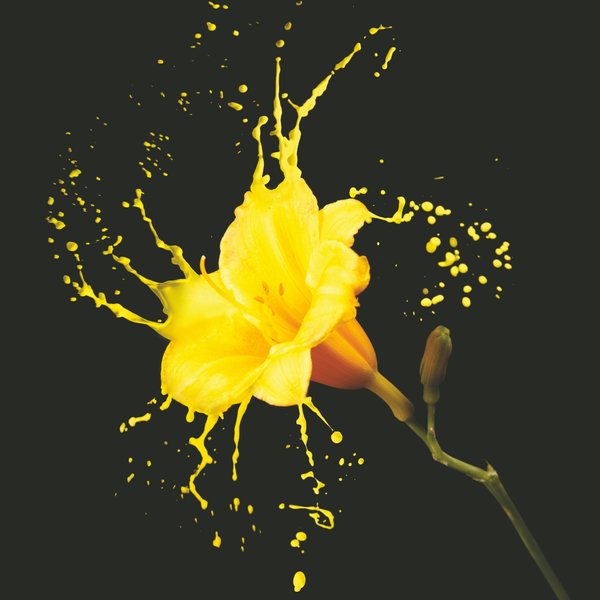 Картина на стекле Желтый цветок 40х40