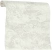 Обои Euro Decor Jardin 7233-01 1,06х10,05м фон