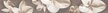 Бордюр настенный Amati 6,2x50,5см Plumeria аlba шт(584191003)