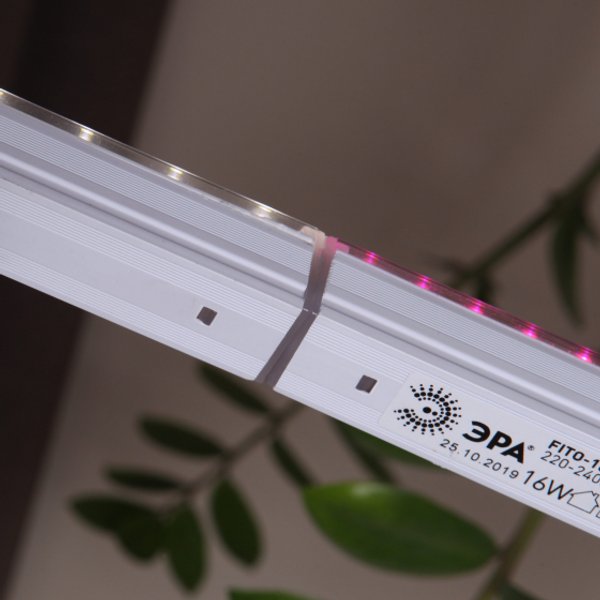 Светильник для растений ЭРА FITO-9W-T5-Ra90 полного спектра 9Вт Т5