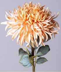 Цветок искусственный Астра кремовая 62см