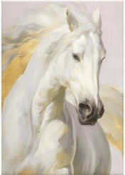 Канвас Белая лошадь 50х70см