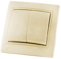 Выключатель 2 клав.Таймыр TDM 10А сл.кость