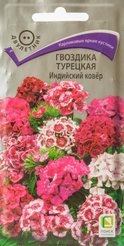 Семена Гвоздика турецкая Индийский ковёр