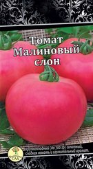 Семена Томат Малиновый слон 25шт