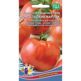 Семена Томат Монгольский карлик Б/Ф 20шт 472412 купить с доставкой в ...