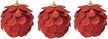 Набор украшений Артишоки 3шт 10см, красный, SYPMQC-0325229 Набор украшений Артишоки 3шт 10см, красный, SYPMQC-0325229