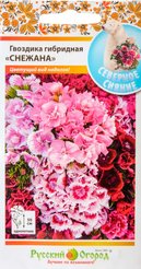 Семена Гвоздика гибридная Снежана (махровая)