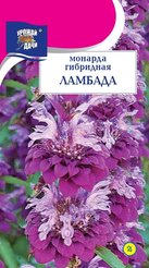 Семена Монарда гибридная Ламбада 0,03г