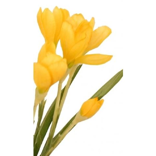 Цветок иск.Крокус 30см срезка 18806