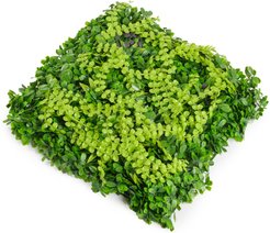 Панель декоративная ZX024 50х50 Джунгли