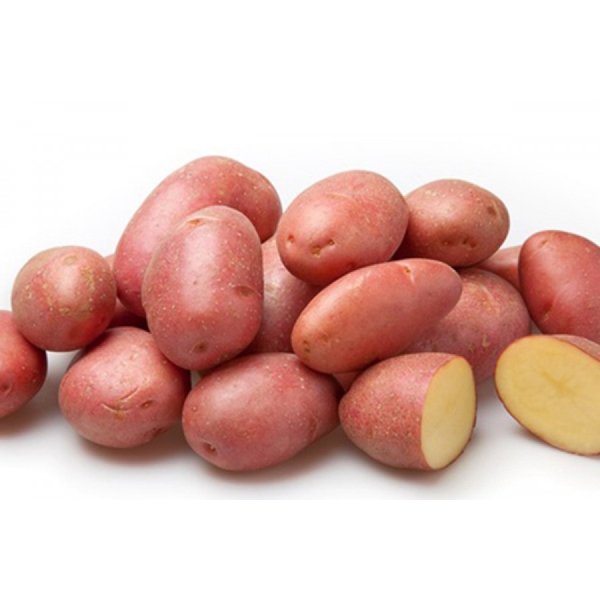 Картофель семенной 2кг сорт Розара