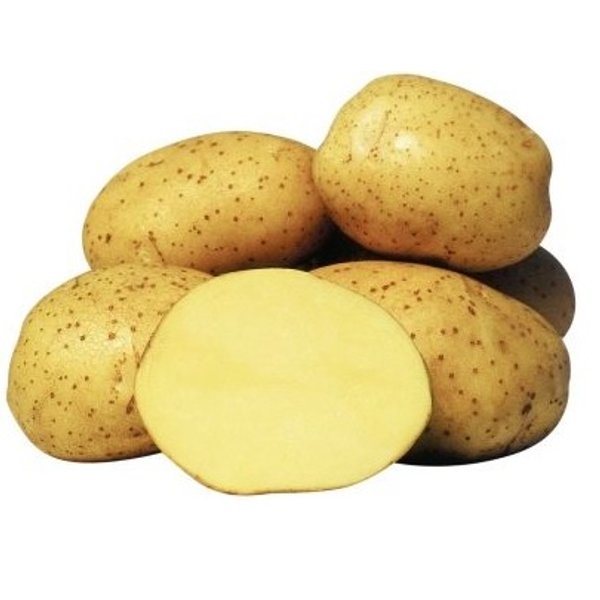 Картофель семенной Винета раннеспелый 2кг