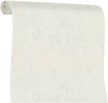 Обои Euro Decor Ray 7297-00 1,06х10,05м фон