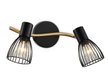Спот накладной TR8660/2 BK/GD черный/золото E14/2 max 60W 330х100х170мм