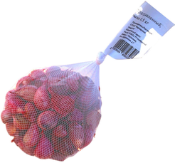 Чеснок озимый протравленный сорт Добрыня 0,5кг