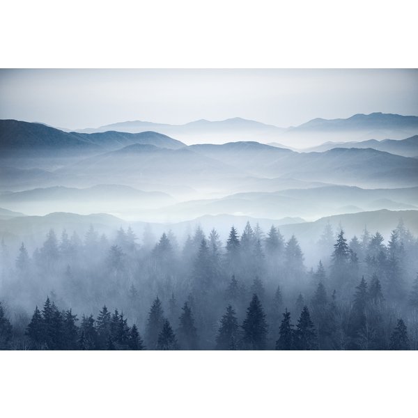 Фотообои виниловые на флизелиновой основе Туман 400х270 см