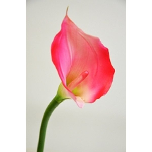 Цветок иск.Калла розовый,срезка 70см