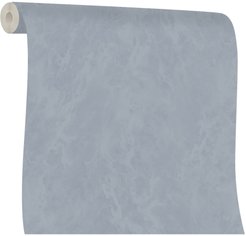 Обои Erismann Absolute 60885-05 1,06х10м фон