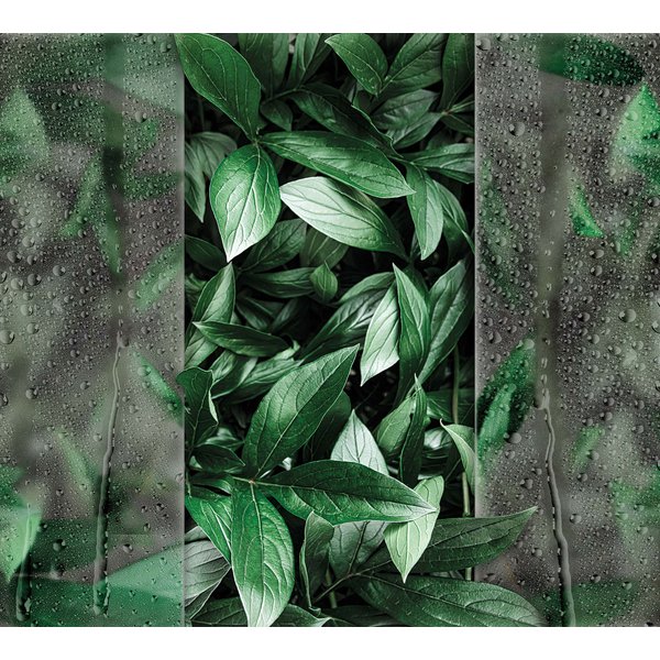 Фотообои виниловые на флизелиновой основе Листья за стеклом 300х270см