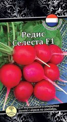 Семена Редис Селеста (1г) !!!