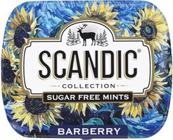 Конфеты без сахара SCANDIC Барбарис 14г