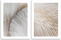 Набор постеров 30х40 Грибная юбка 2шт