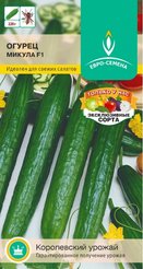Семена Огурец Микула F1 цв/п 0,25г