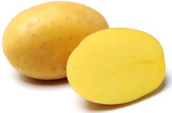 Картофель семенной Бернина среднеранний 1кг