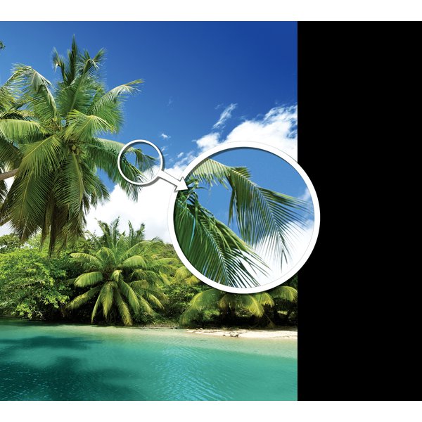 Фотообои Красочный остров 300х270см виниловые на флизелиновой основе
