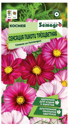 Семена Космея Сенсация Пикоти трёхцветная