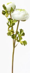 Цветок искусственный Ранункулюс Боуд Флокс белый 50см