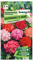 Семена Пеларгония Зональная Колорама 2 смесь окрасок Semagro 5шт