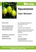 Саженец Крыжовник Малахит С2 Н20-40
