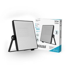 Прожектор светодиодный Gauss EVO 30Вт 6500K 2700Лм IP65 черный