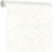 Обои WallDecorExclusive Эрмитаж 75273-11 1,06х10м фон
