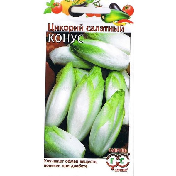 Семена Цикорий салатный (Витлуф) Конус