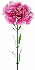 Цветок искусственный Гвоздика Соло 50см